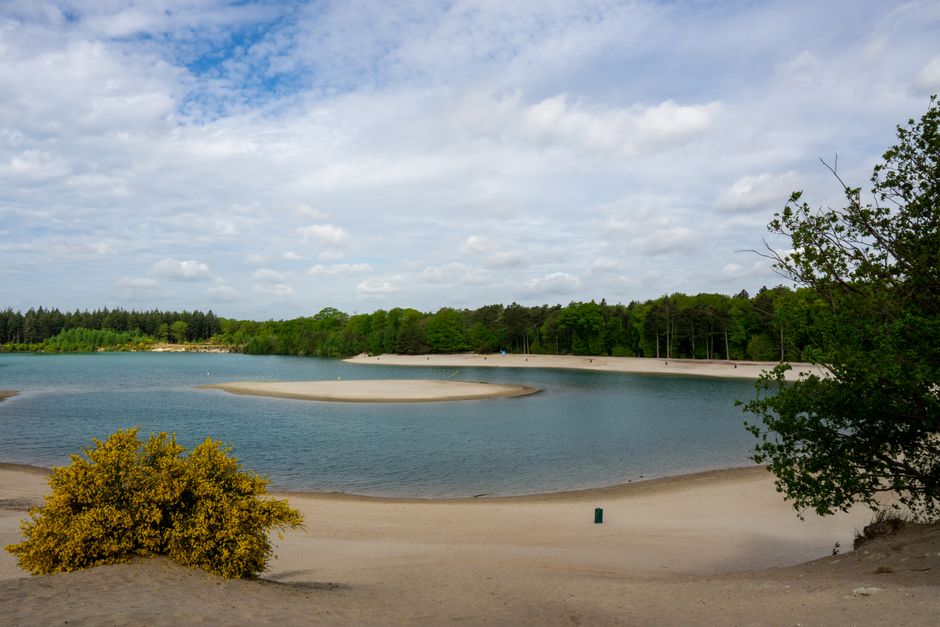 The image depicts a tranquil lakeside scene with a wide sandy beach in the foreground, featuring light-colored, smoothly textured sand. To the left, a small bush with yellowish-green foliage is situated near the water's edge, and on the right, a taller tree with green leaves extends into the frame. The calm lake water displays a gentle blue-green hue, with small ripples visible on the surface, and shapes resembling shallow sandbars or islands are protruding just above the waterline at the center and towards the background. Surrounding the lake, a dense forest of mixed green trees extends across the horizon, providing a natural border against the partly cloudy sky. In the background, the shoreline curves gently with the forest continuing along its edge. The sky is mostly cloudy with patches of blue peeking through, creating a softly lit, serene atmosphere. This scene, characteristic of natural outdoor environments, aligns with private rubbish removal or on-site clearance services, such as those offered by Rubbish Removal Ruislip, in a context that involves outdoor waste management in natural settings, although no waste or rubbish is visible in the image itself.